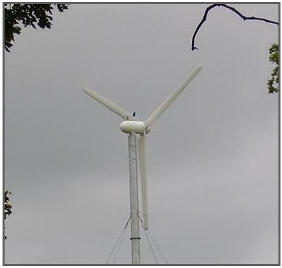 Mint Solutions Wind Turbine