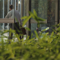 green office
